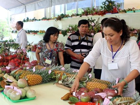 Cơ hội rộng mở cho trái cây Việt xuất khẩu