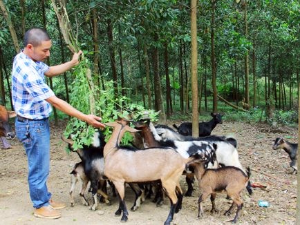 Thủ lĩnh của đồng bào Thái ở thung Tồm