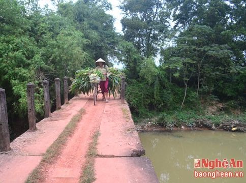 Hiểm nguy rình rập từ những chiếc cầu 'tử thần'
