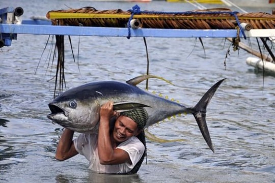 Trung Quốc 'cho phép' ngư dân Philippines vào bãi cạn Scarborough