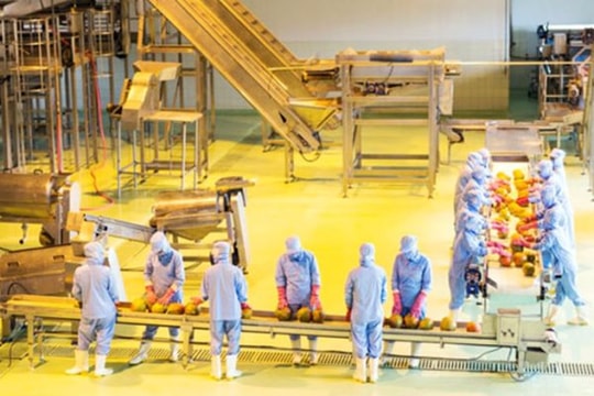 Nghệ An 'khát' lao động lành nghề