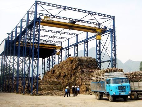 Nghệ An 'đói' mía nguyên liệu