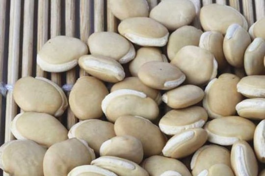 Đậu ván trắng nhiều công dụng