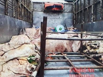 Bắt hơn 3 tấn mỡ động vật và da bò đã bốc mùi đi trên xe tải