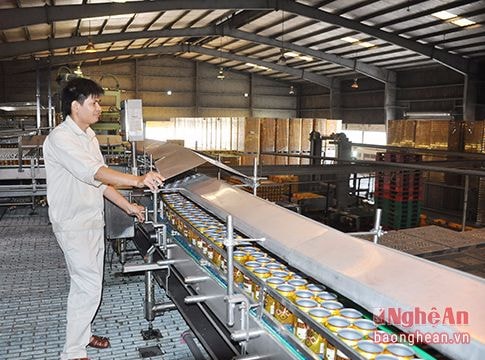 Năm 2017: Bộ Tài chính giao Nghệ An thu ngân sách 10.587 tỷ đồng