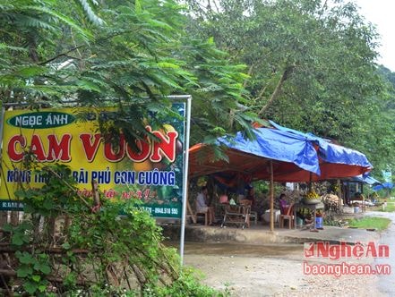 'Hữu xạ tự nhiên hương'