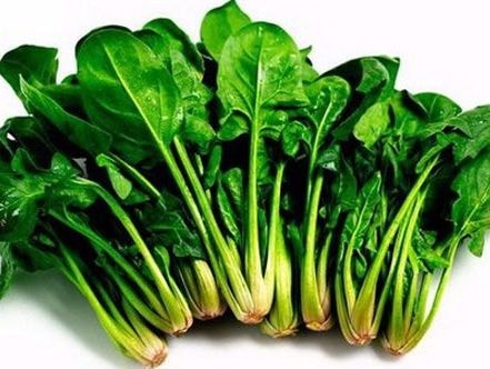 Ăn gì để bảo vệ phổi?