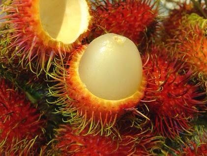 Quả chôm chôm cũng là thuốc quý