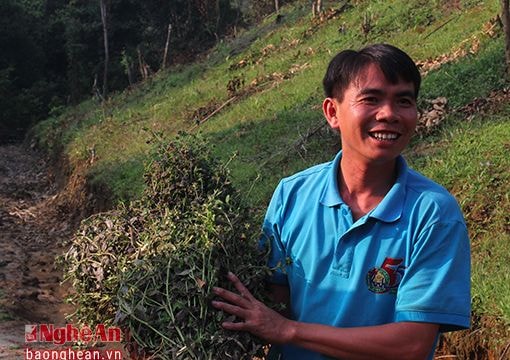 Hướng đi của một miền đặc sản