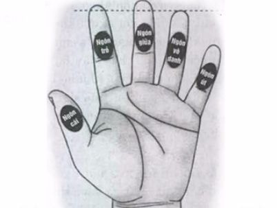 Xòe bàn tay xem sự phú quý của bạn