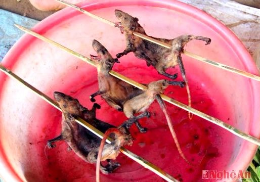 Độc đáo chợ cào cào, thịt chuột, ếch nhái vùng cao