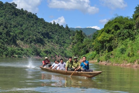 Nghệ An là tỉnh hoàn thành sớm tổng điều tra, kiểm kê rừng