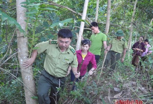 Góp phần thực hiện chính sách chi trả dịch vụ môi trường rừng