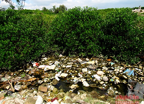 Cảng cá Lạch Vạn ngập rác