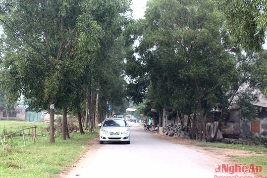 Thành phố Vinh: 429 tỷ đồng đầu tư giao thông ngoại thành