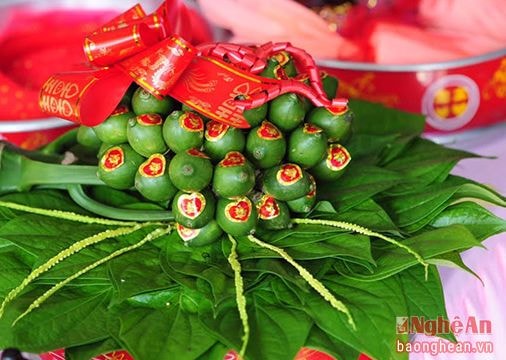 Trầu không Nghệ An xuất khẩu sang Đài Loan