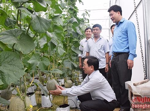 Sản xuất nông nghiệp sạch nhu cầu tất yếu