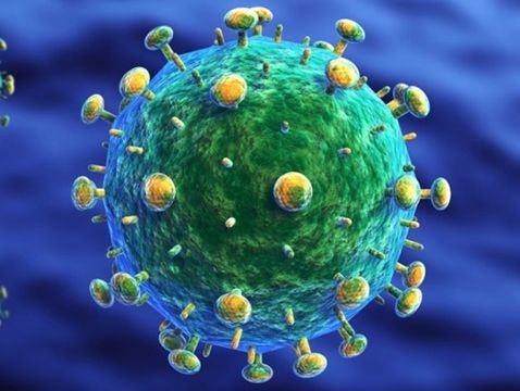 Những điều chưa biết về virus HIV/AIDS