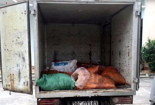 Bắt xe chở 400 kg mỡ trâu, bò, tóp mỡ không có nguồn gốc