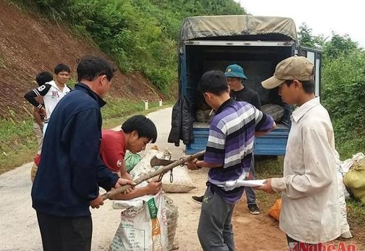 Vì sao nông sản vùng lòng hồ thủy điện bản Vẽ hết tụt giá?