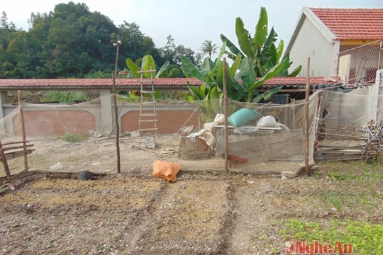 Di chỉ khảo cổ tiêu biểu thời đá mới biến thành nơi trồng rau, nuôi gà