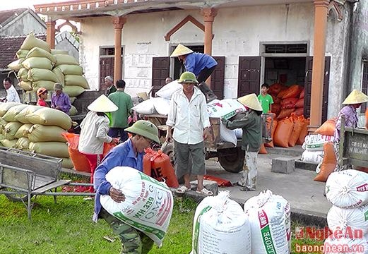 Bổ sung 300 tỷ đổng cho Quỹ hỗ trợ phát triển hợp tác xã