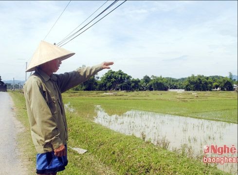 Sớm lập dự án đầu tư xây dựng công trình chống lũ vùng Bích Hào (Thanh Chương)