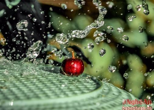 Cuốn hút bộ ảnh macro độc đáo về thế giới tự nhiên