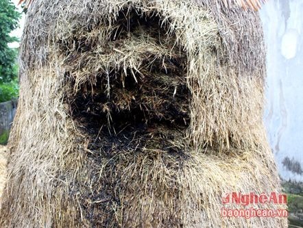 Lắp camera theo dõi, 'làng cháy' vẫn cháy