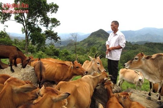 Kỳ Sơn có 417 mô hình phát triển kinh tế hiệu quả