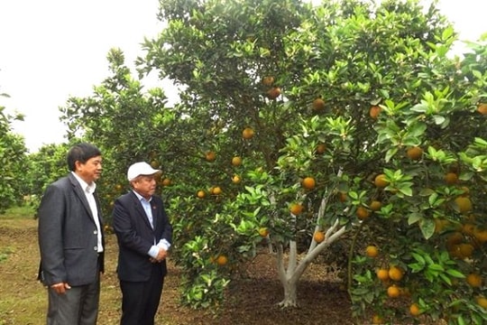 Chú trọng lựa chọn đối tác để cổ phần hóa và sắp xếp doanh nghiệp