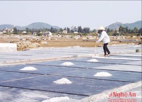 Trả lời kiến nghị cử tri Quỳnh Lưu về chính sách hỗ trợ giá muối