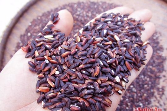 Những đặc sản vùng cao luôn 'cháy hàng' dịp cuối năm