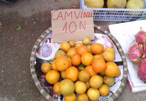 Ai đã 'phù phép' cam Trung Quốc thành cam Vinh?