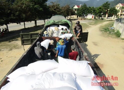 Quế Phong: 12.556 hộ dân được nhận gạo hỗ trợ