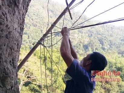 Dân bản vùng biên dùng cây cối, hàng rào làm cột điện