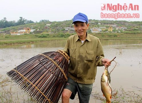 Hối hả mùa nơm cá đồng
