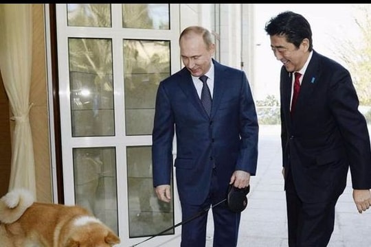 Nga từ chối chó cưng Nhật định tặng ông Putin