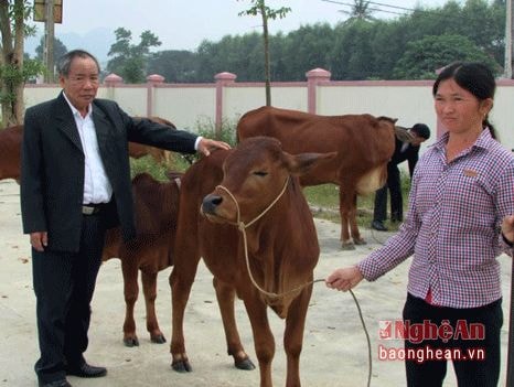 Hỗ trợ 92 triệu đồng cho người khuyết tật ở Tân Kỳ