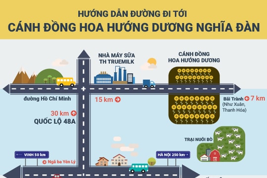 Cách đơn giản nhất để đến cánh đồng hoa hướng dương