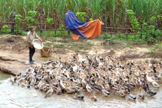 Liên kết xây dựng thương hiệu nông sản