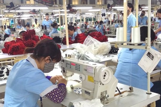 Nợ đọng BHXH: Các cơ quan liên quan đã làm hết trách nhiệm?