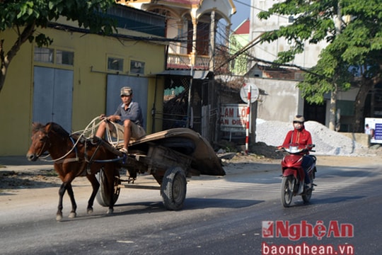 Xe ngựa nghênh ngang trên Quốc lộ
