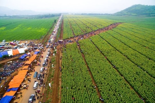 Nghệ An sẽ thành lập Sở Du lịch