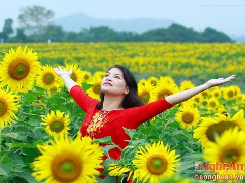 Mong đợi một mùa hoa