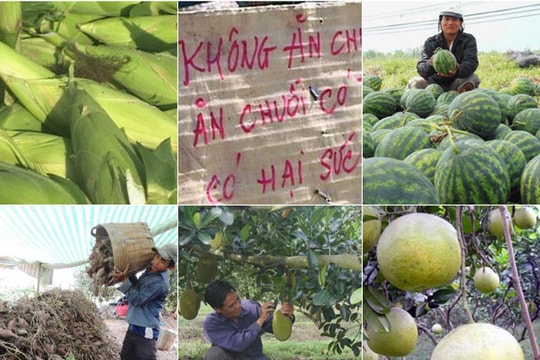 'Mạnh tay' dập tin đồn thất thiệt gây hại nhà nông