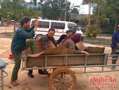 Dùng xe trâu chở cụ bà 81 tuổi đi viện