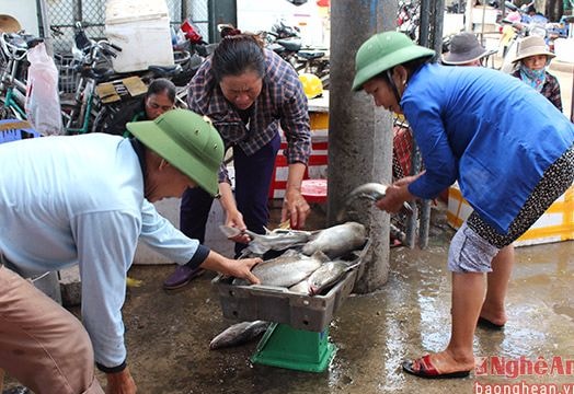 Cuối tuần khám phá hải sản tươi ngon của biển Lạch Vạn