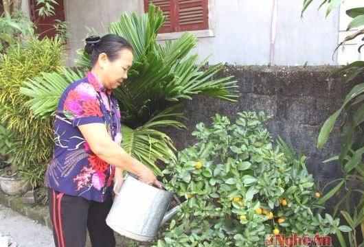 Những nữ 'thủ lĩnh' thôn xóm hai đảm đang