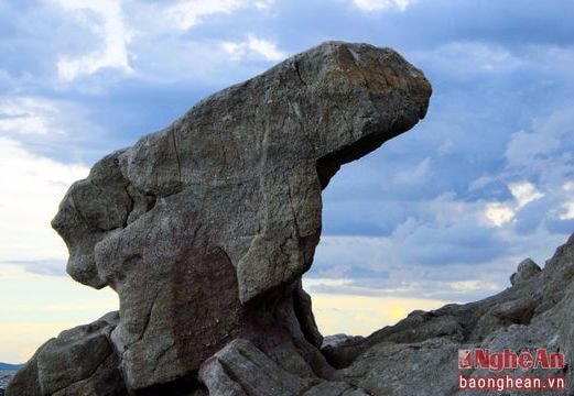 Khám phá vẻ hoang sơ của bãi đá tự nhiên đẹp nhất xứ Nghệ